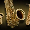 Best Saxophone to buy online in India