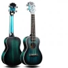 10 Best Ukulele to buy online in India